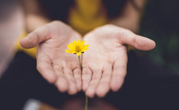 selective focus photography of woman holding yellow petaled flowers